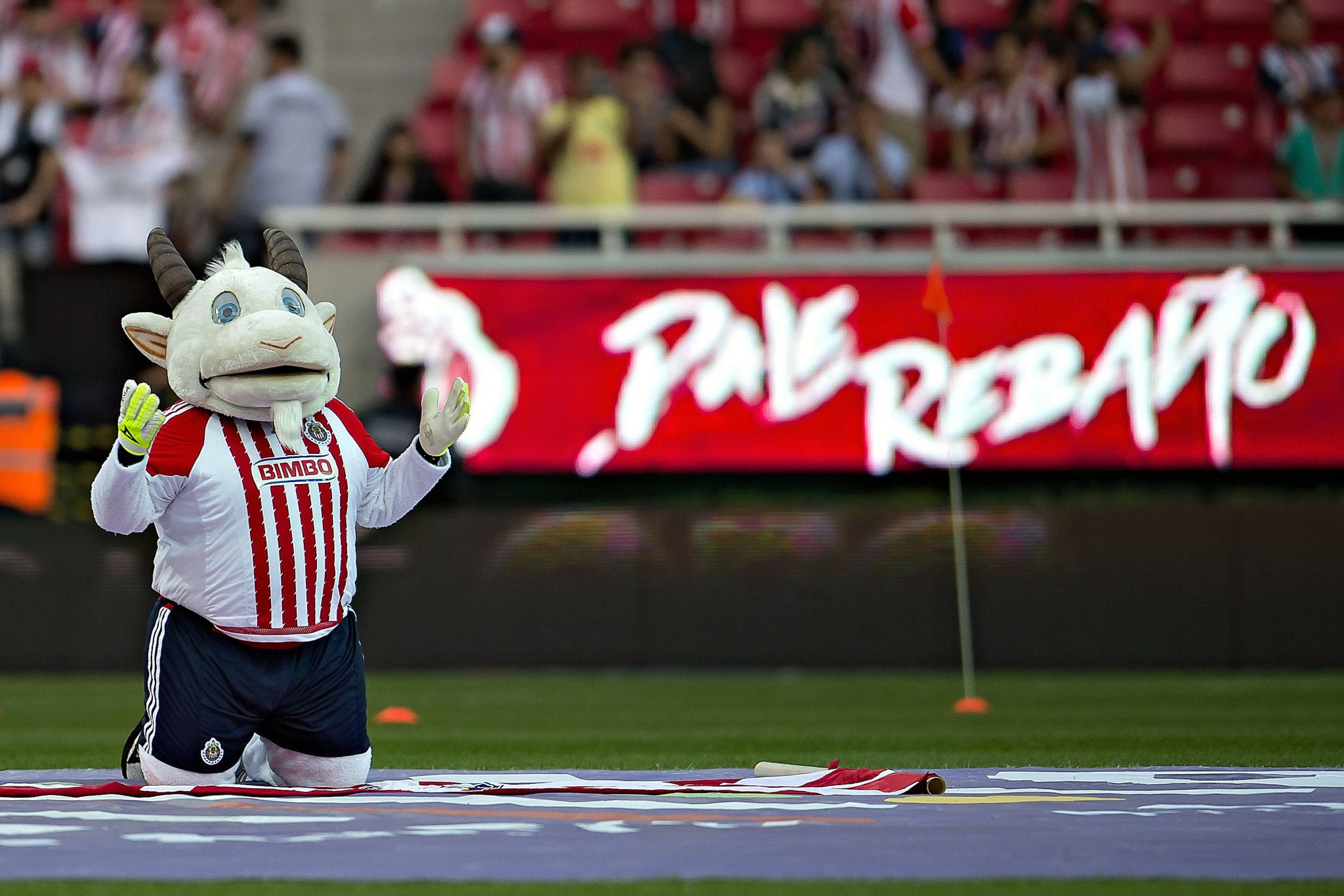 ¿Quién es el Campeonísimo en la Liga MX? - Rómpela Más
