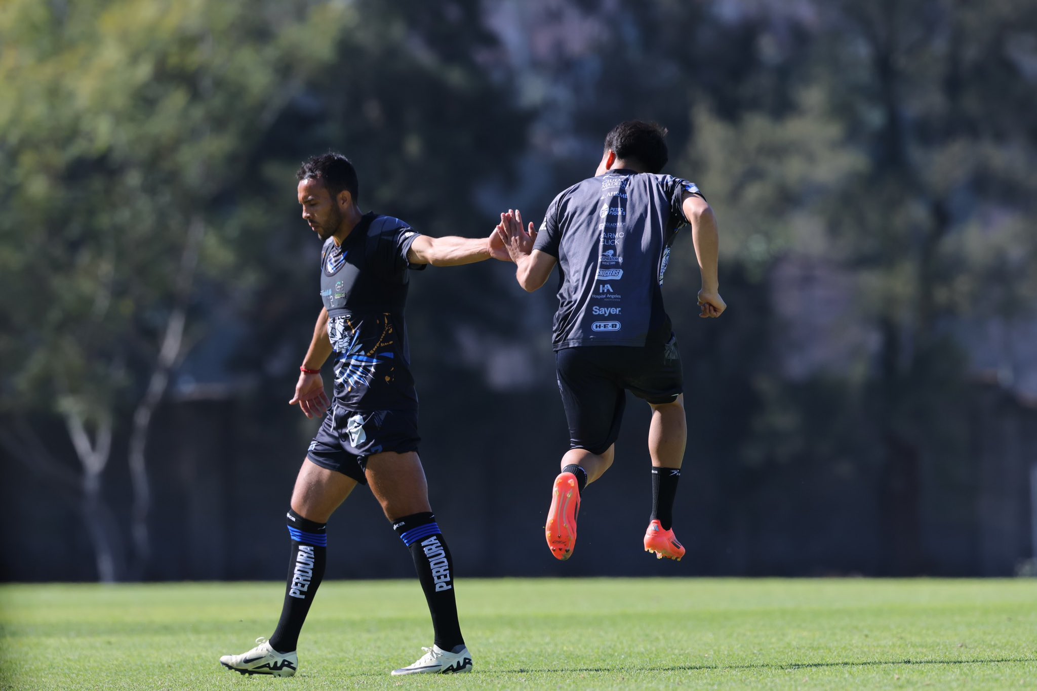 Inicia venta de boletos para el Gallos Blancos vs América