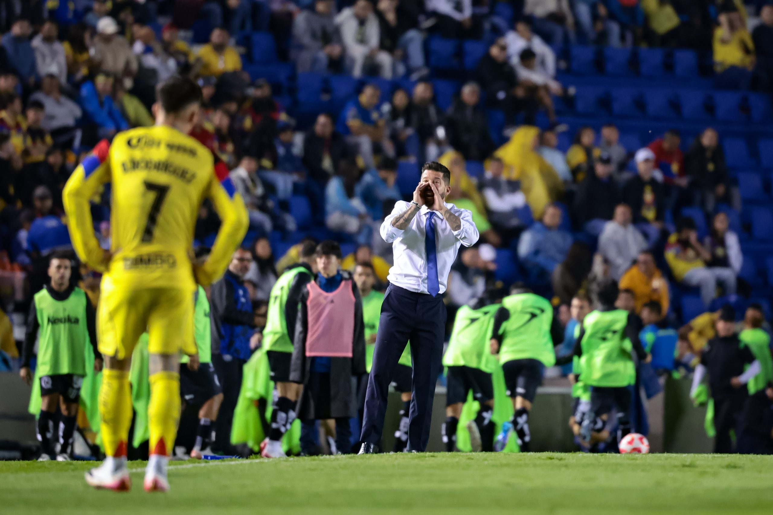 Gallos Blancos trabajará en la cotundencia