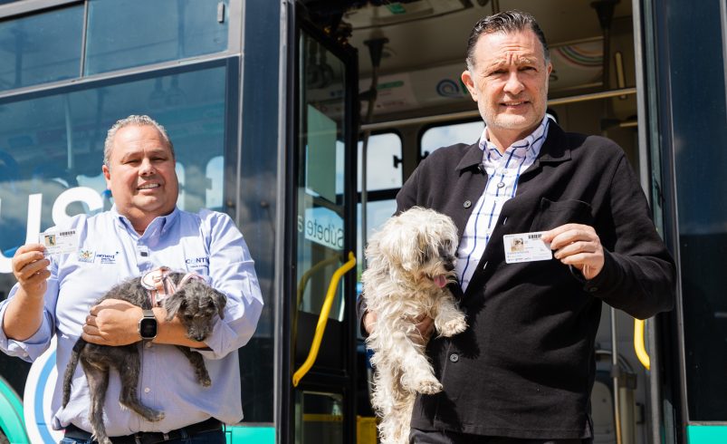 Anuncia Gobernador Sistema Qrobús Pet Friendly