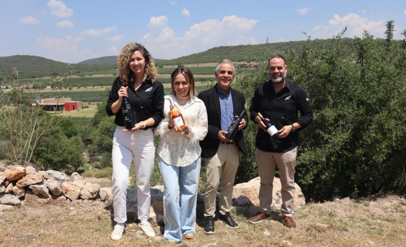 Anuncian Vendimia Blanco y Tinto 2026 de Puerta del Lobo