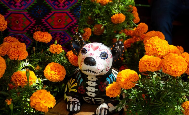 Inauguran Mercadito de Día de Muertos